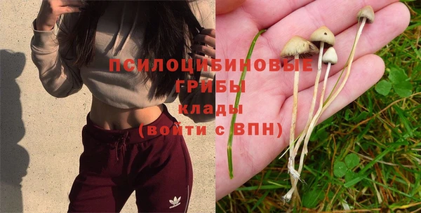 COCAINE Баксан